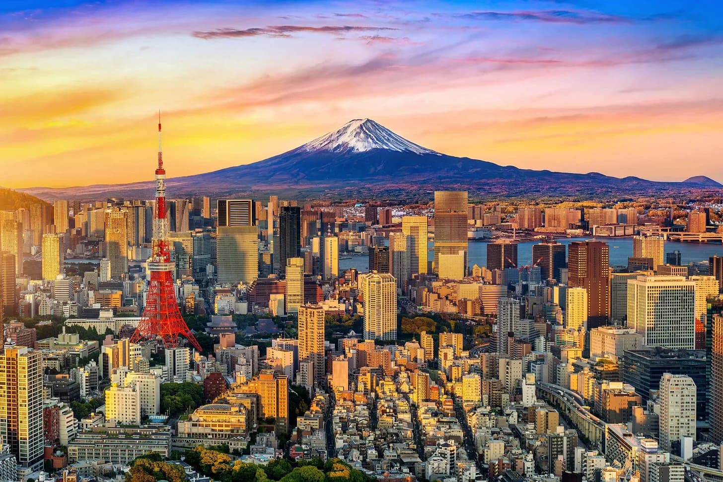 Le Guide Ultime sur Tokyo: Tout ce qu'il faut savoir avant de partir